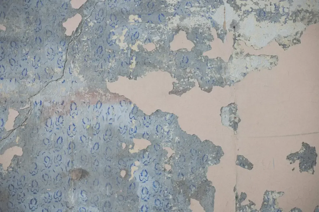 What To Do After Wallpaper Removal